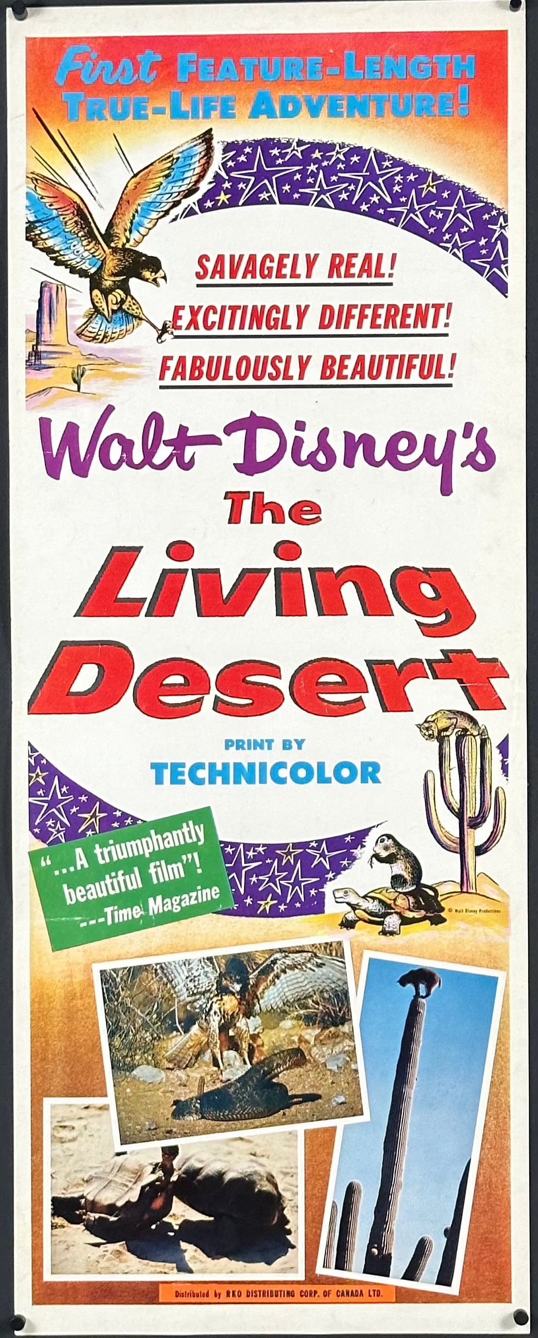 The Living Desert - posterpalace.com